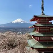 おかＰの画像