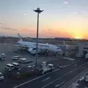 みかんの画像