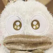 太陽の画像