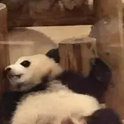 ケーン