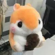 まあの画像