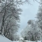 さらの画像
