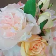 YMD1222  ✳プロフ必読✳の画像
