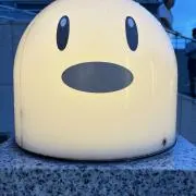 bidoof