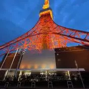 しまの画像