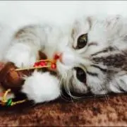 あかね