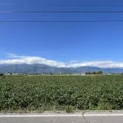 びりーぶの画像