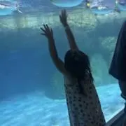 絵理奈