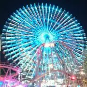 とまちゃん※連休中は発送不可の画像