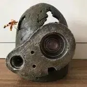 にゃん太