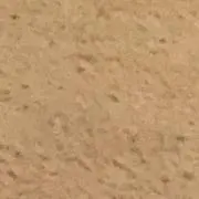 アップルティー