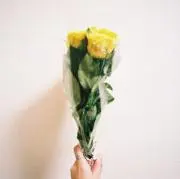 sono.