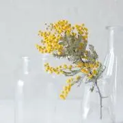 n.eの画像