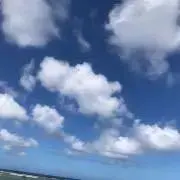 チップ⭐︎の画像