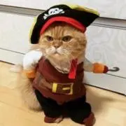 wendyの画像