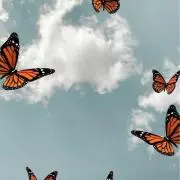 Mの画像