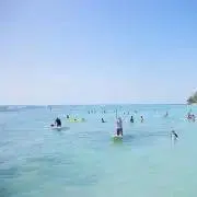 ちゅみの画像