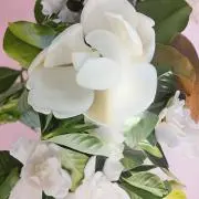 ワンダランの画像