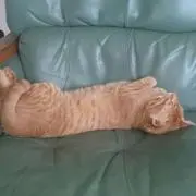 もんた！！