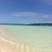 MIYAの画像