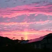 のりの画像