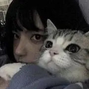 もの画像