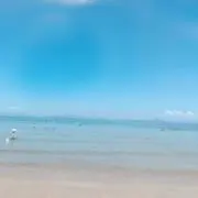りん