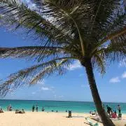 ♪平日発送♪