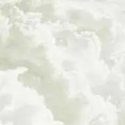 ぽっぷの画像