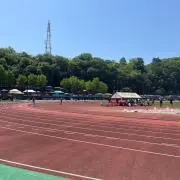 みーにゃーの画像
