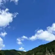 オードリー♡の画像