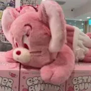 こちょうの画像