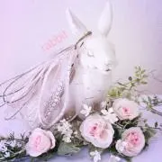 rabbitの画像