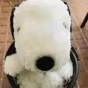 わんわんの画像