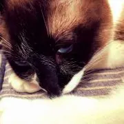 たかひろの画像