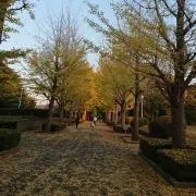 ゆうらりの画像