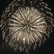 めたもん