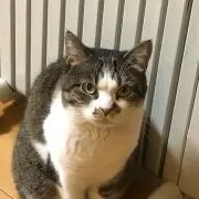 soraumiの画像