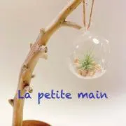 La mの画像