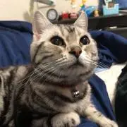むぅの画像