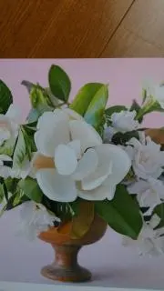 茉莉花