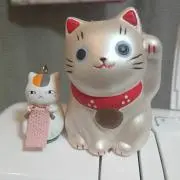 さゆの画像