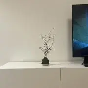 LSの画像