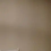 坐禅丸の画像