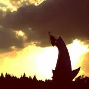 ハラミ