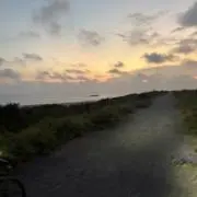 まぐろ　値下げ交渉可能