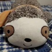 ゆうの画像