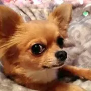 non