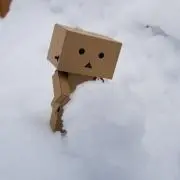 いちこ