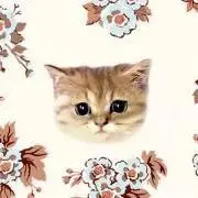 nekomiの画像
